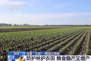 阿根廷球员2023年度进球榜：劳塔罗43球居首，梅西29球第四